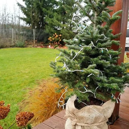 Lodge Relax - Mazur *